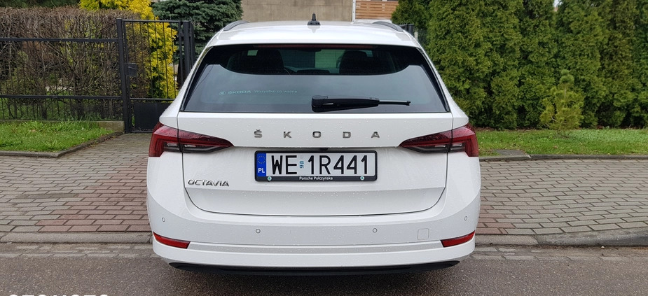Skoda Octavia cena 75900 przebieg: 129000, rok produkcji 2020 z Płock małe 79